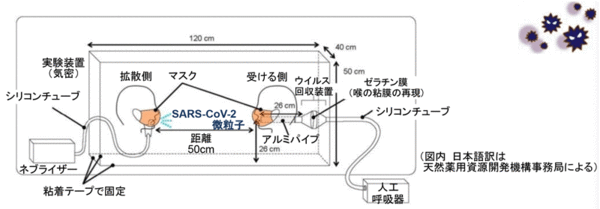 マスクの効果について