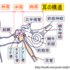 【漢方褒貶】―メニエール症候群？―
