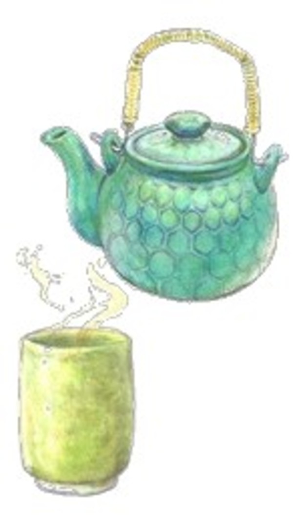 【漢方褒貶】皮膚病も漢方薬で対処します