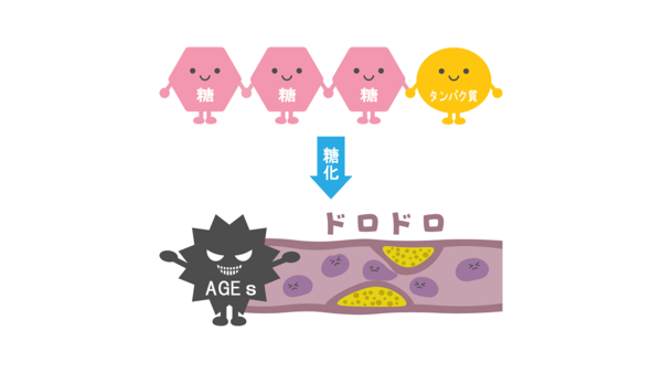 最終糖化生成物（AGEs）について