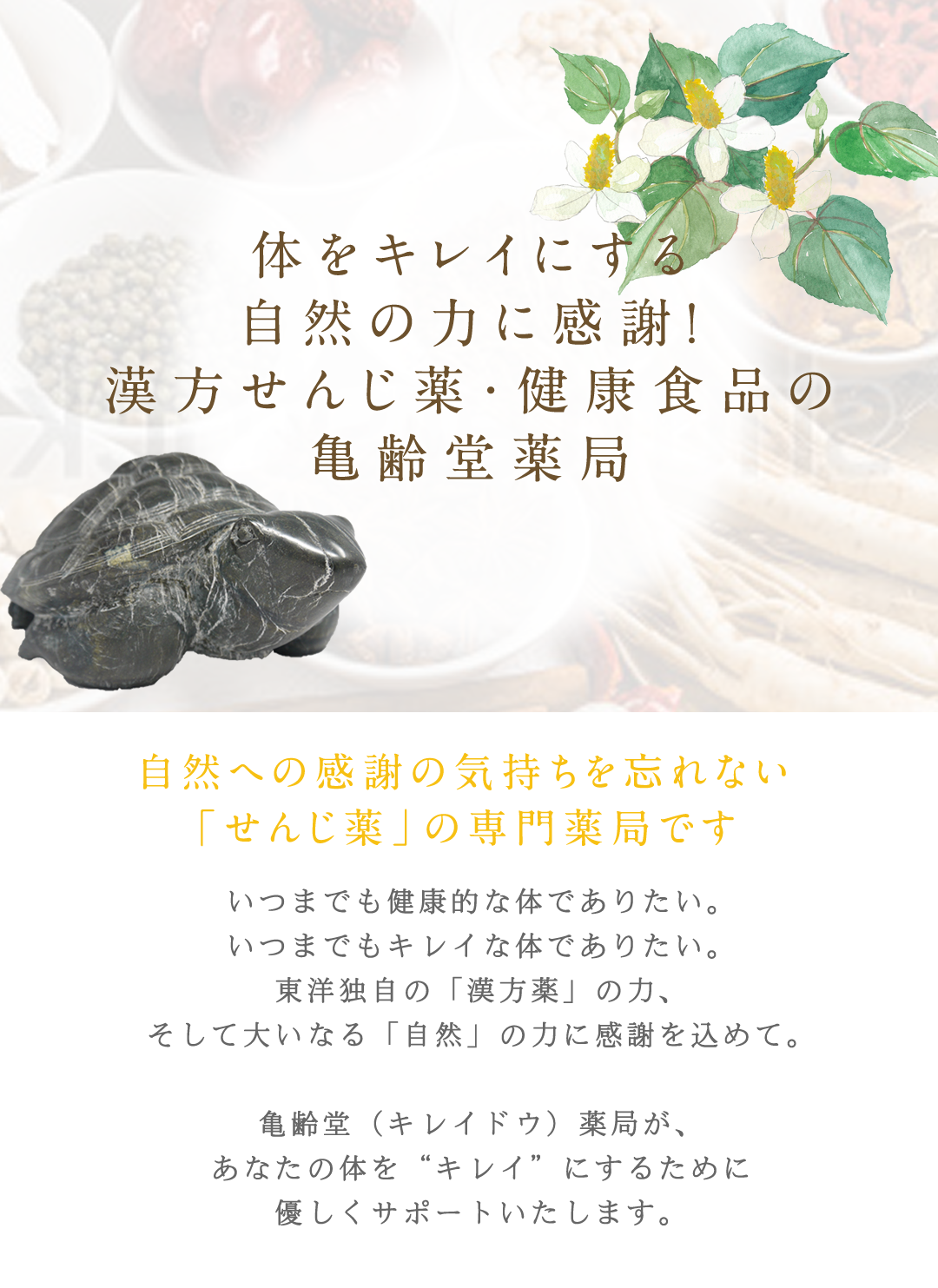 ヤブキ和漢薬局 大阪で漢方薬 煎じ薬なら 創業95年 大阪の老舗漢方薬局